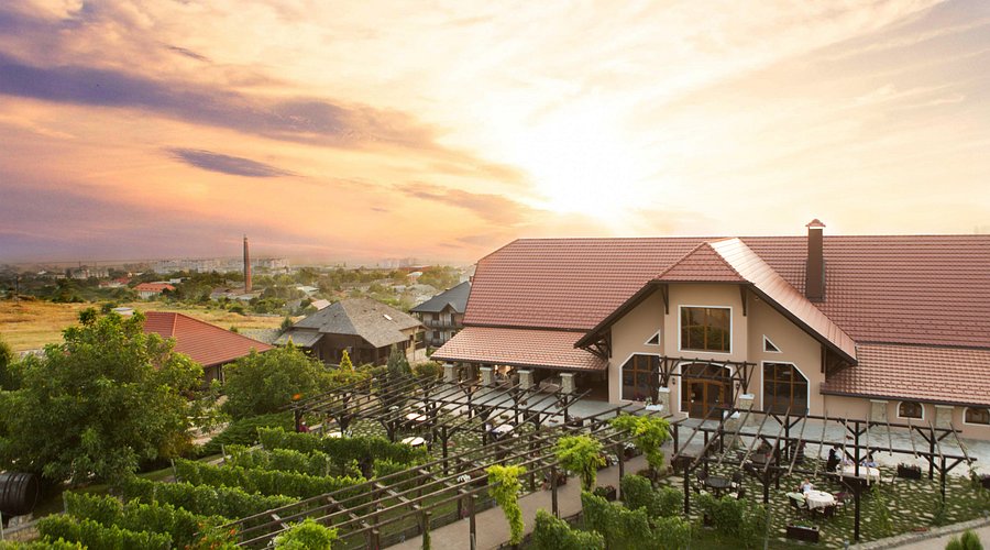 Château Vartely winery and vineyards