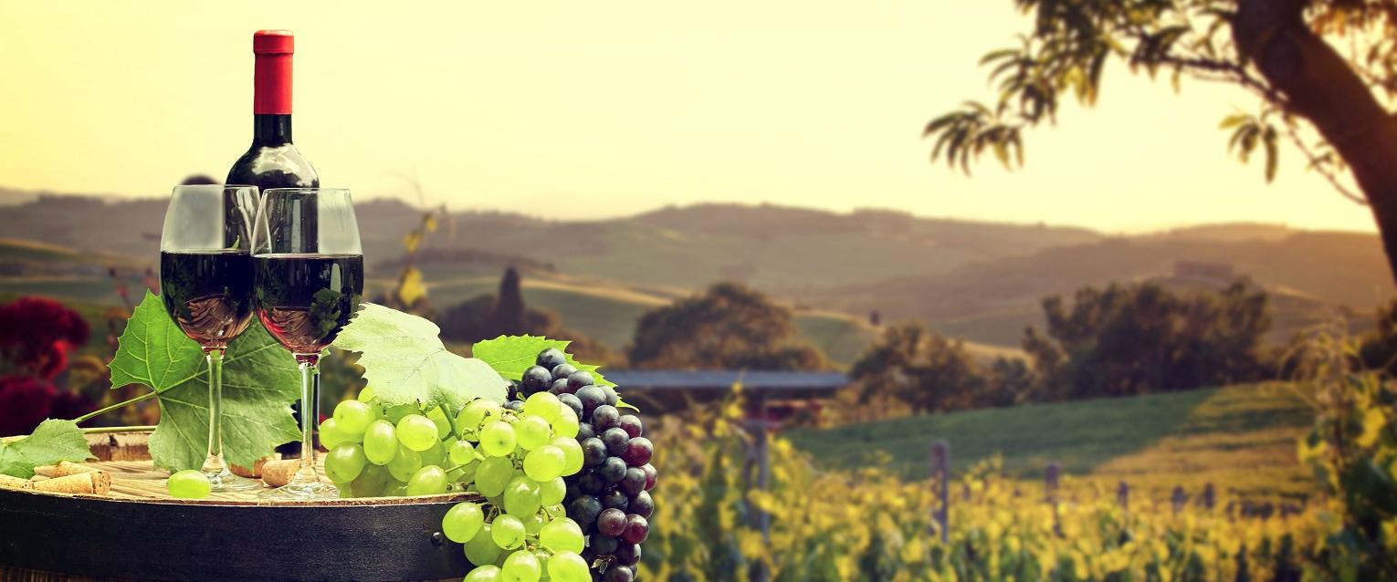 Scenic Moldovan vineyard tour