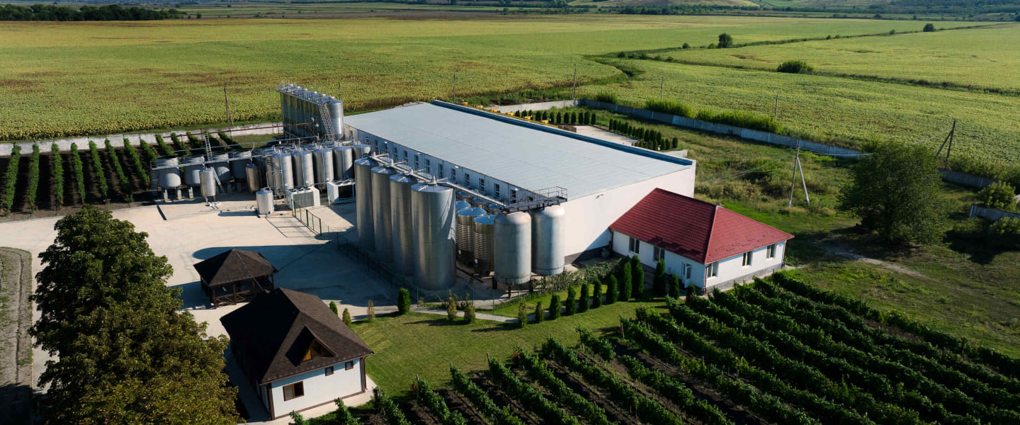 Radacini winery and vineyards